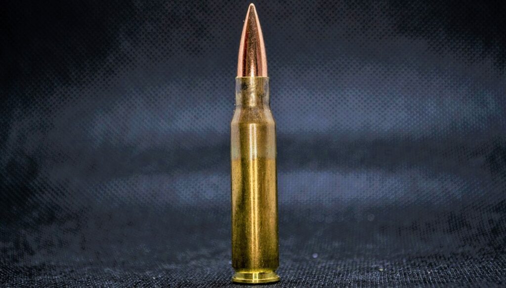 光沢のある一本の弾薬の画像